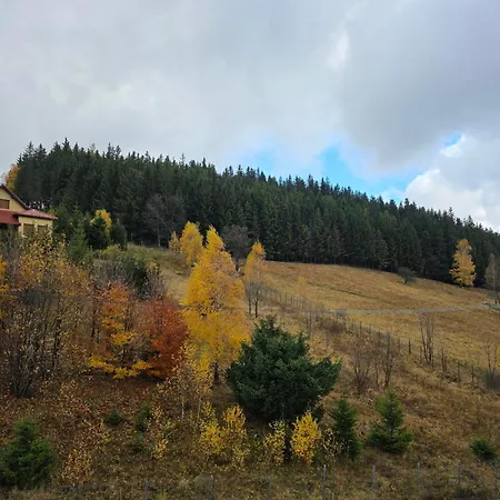 Czarna Góra 307 Apartament